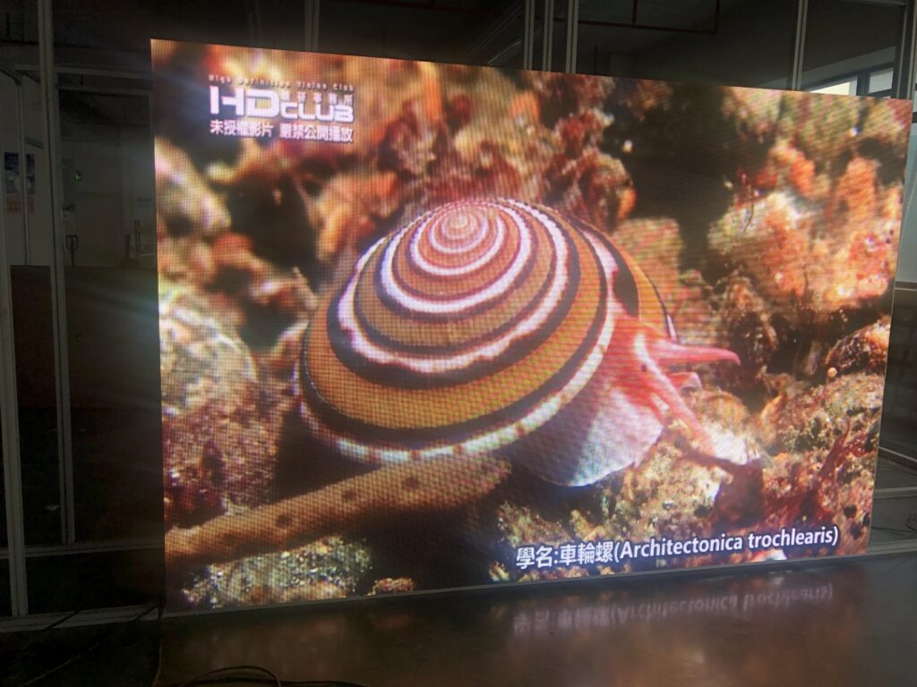 Outdoor P3.91 rental display to Columnbia - Showcase - 3