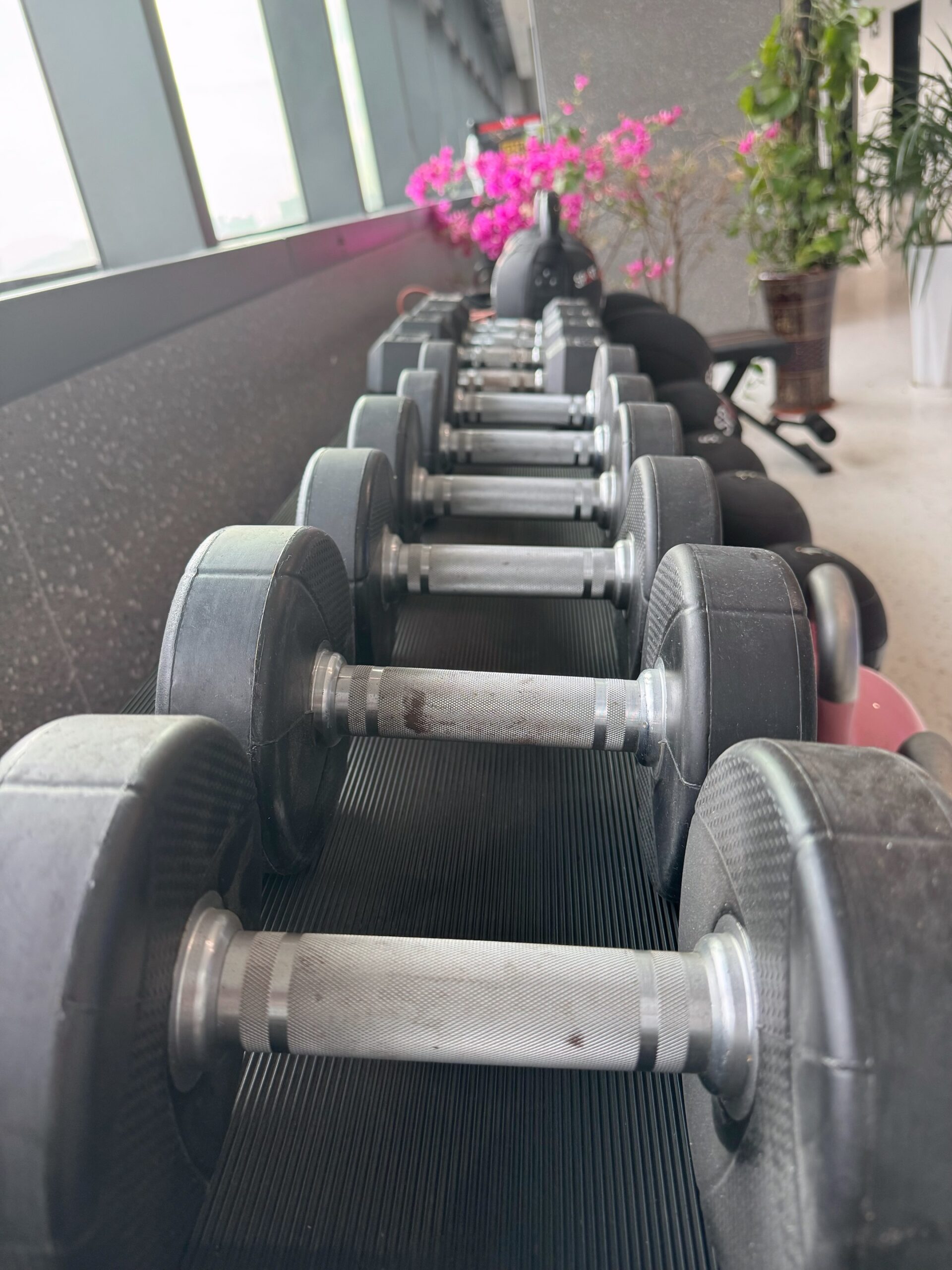 Professional equipment accompanies you to exercise more efficiently and stay fit longer - News - 4