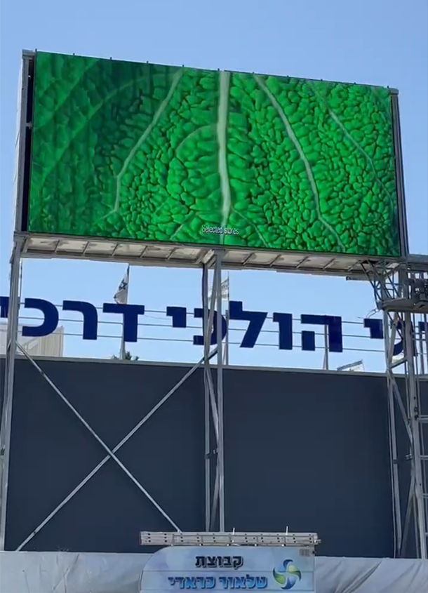  - Israeli P10 Project - 2
