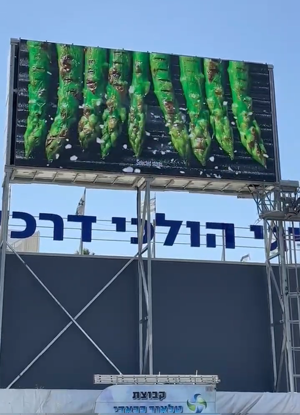 - Israeli P10 Project - 3