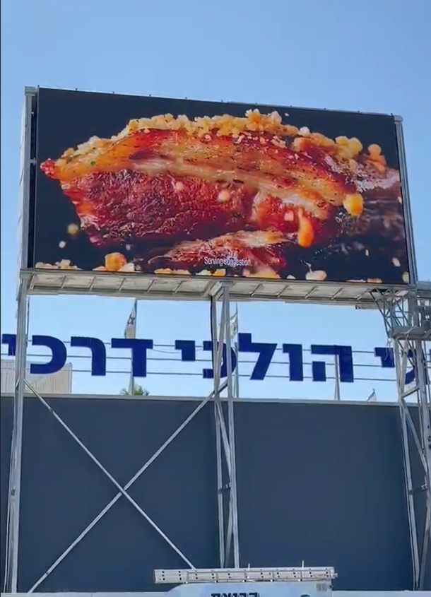  - Israeli P10 Project - 5