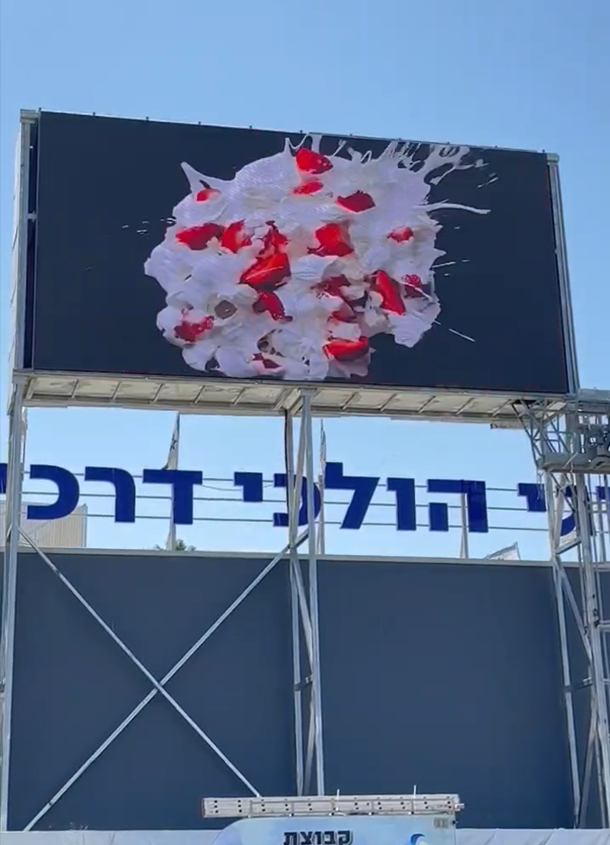  - Israeli P10 Project - 6